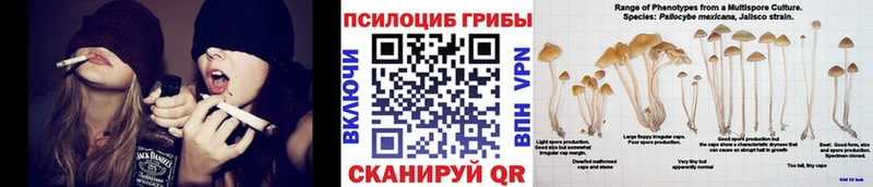 Галлюциногенные грибы GOLDEN TEACHER  Купить где  Лыткарино 